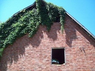albrecht barn