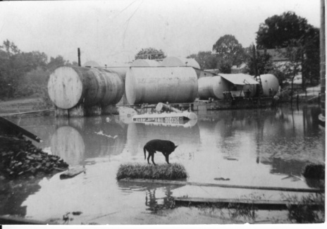 flood