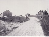 Farm of Albert and Amelia Wilmas