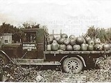 Pumpkin loaded truck