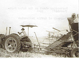 Fred Sellenriek harvesting wheat
