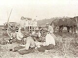 Lunch Time in the Fields