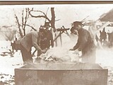 Butchering on the Calvert farm. 