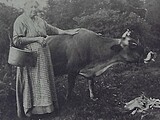 Sarah Elizabeth Bacon Milkmaid